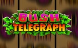 Bush Telegraph