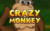 Crazy Monkey